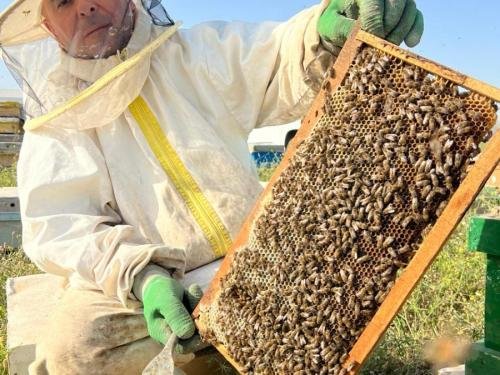 WhatsApp-Image-2024-04-27-at-12.15.56_b4ff2eb3