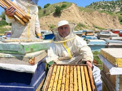 WhatsApp-Image-2024-04-27-at-12.16.25_255fd459