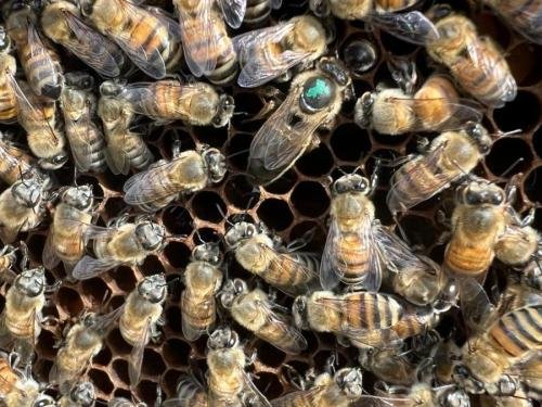 WhatsApp-Image-2024-04-27-at-12.47.12_76c7b33a