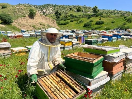 WhatsApp-Image-2024-04-27-at-12.49.08_421466e3