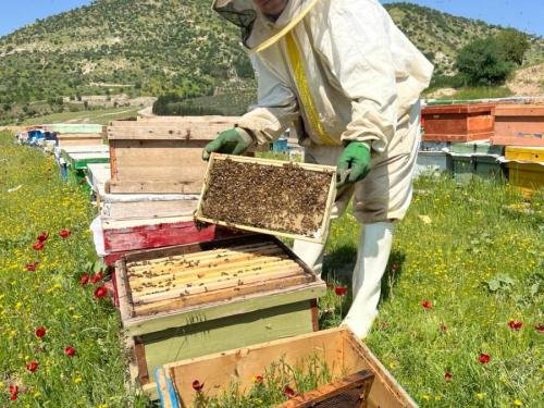 WhatsApp-Image-2024-04-27-at-12.49.44_3129ef3e